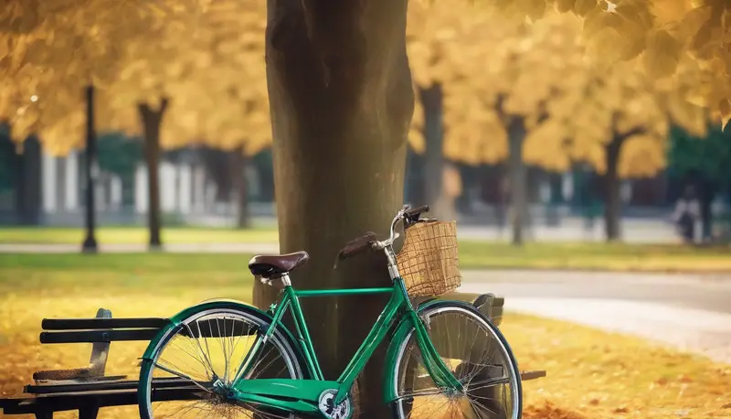 Fahrrad an einer Parkbank im Herbst – Kurzgeschichten für starke Frauen